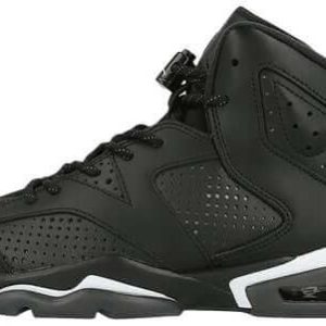Air Jordan 6 Black Cat